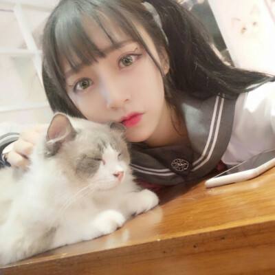 开心萌猫泡泡龙破解版下载